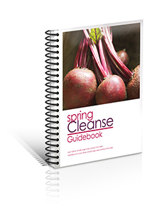 3-D Manual Cover CLEANSE v1